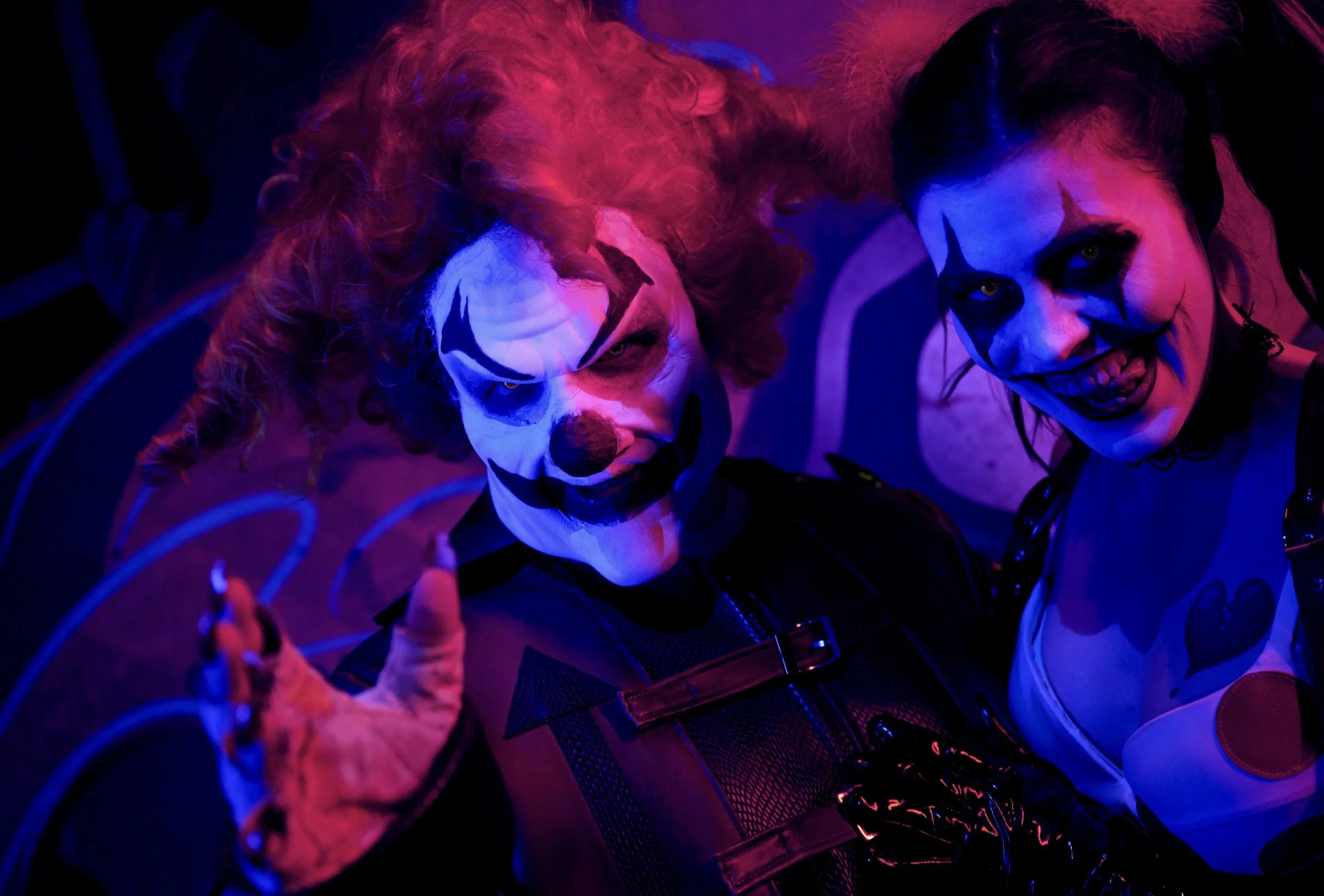 Discover the best of Universal Orlando and Disney Parks with Miss